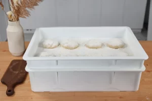 Dough Proofing Box